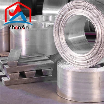 Ingoti magnezija Čisti Mg Ingoti 99,99%